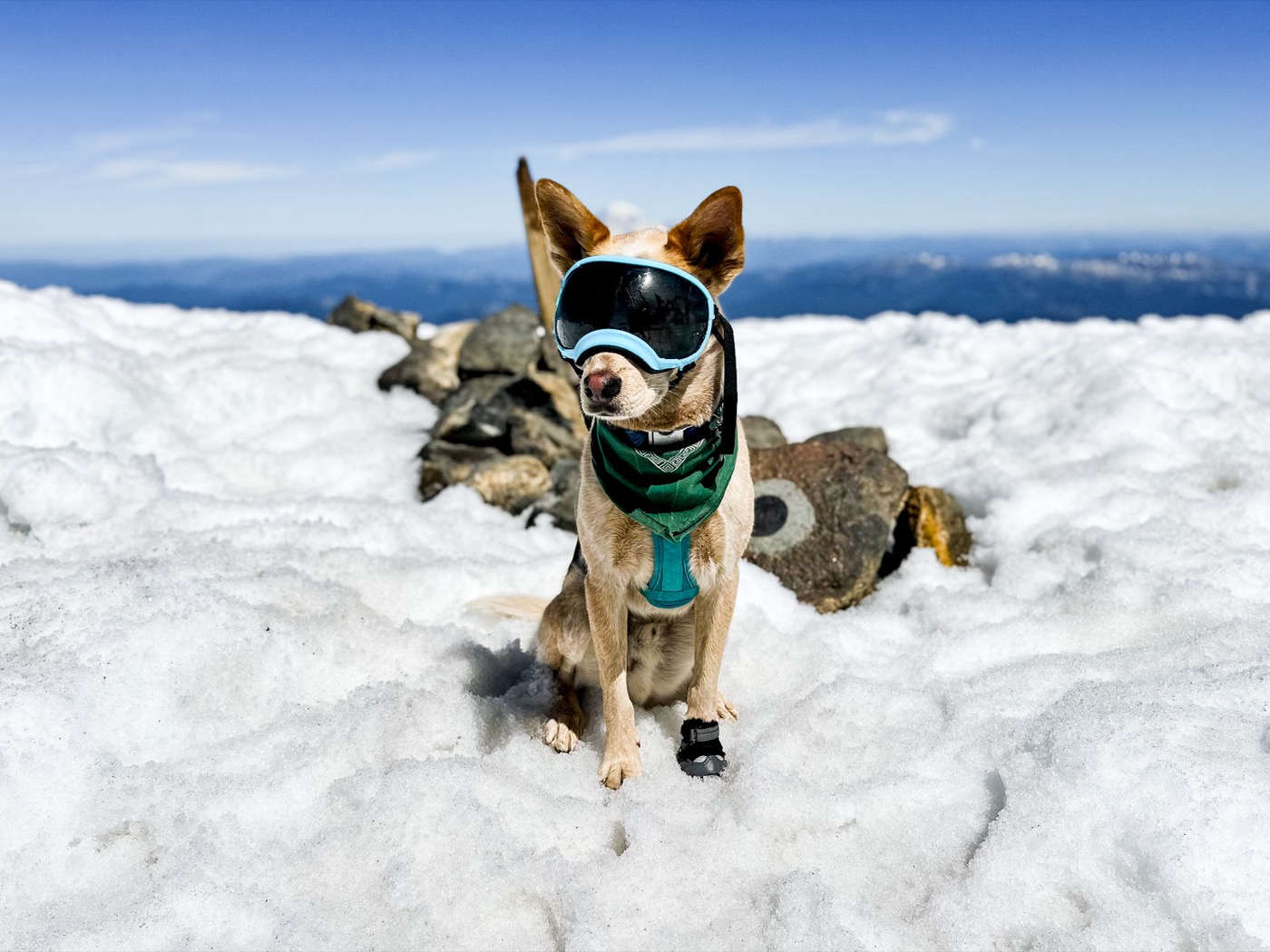 Toby on a snowy summit in his goggles and teal harness, mountains stretching behind him